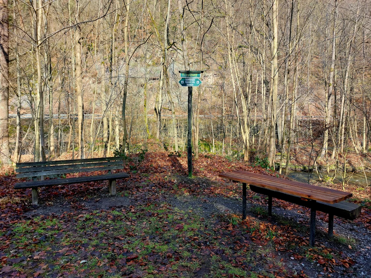Picknick am Flo&szlig;graben  (Bild vergr&ouml;&szlig;ern)