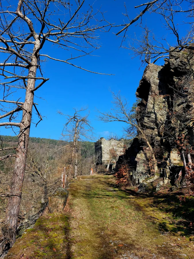 Breite Wanderwege  (Bild vergr&ouml;&szlig;ern)