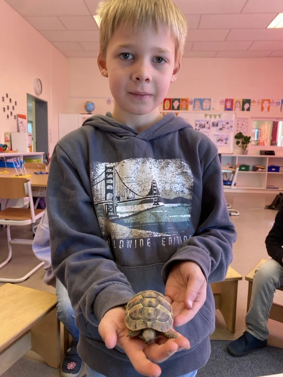 Foto der Galerie: Schildkröten zu Besuch!