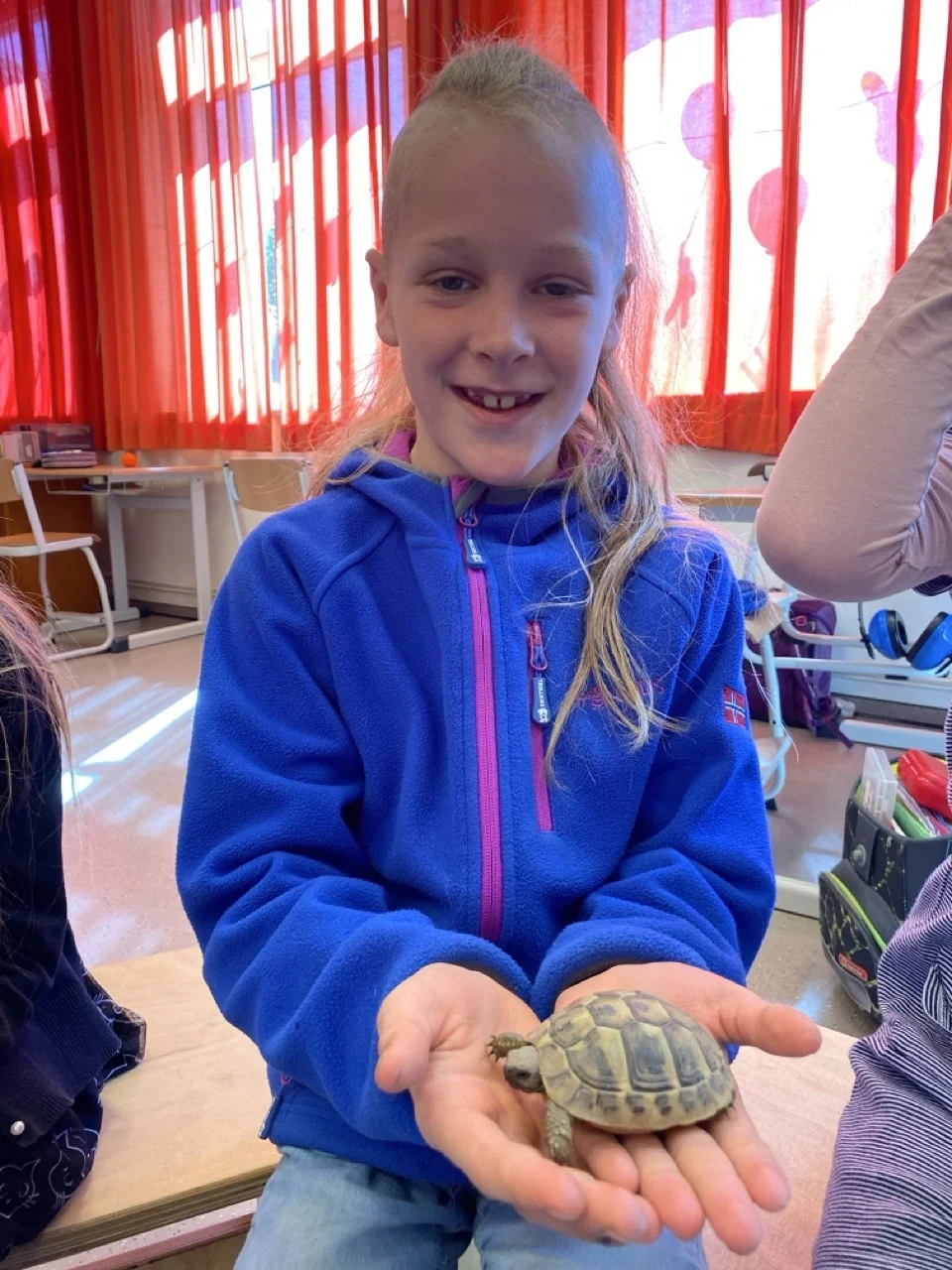 Foto der Galerie: Schildkröten zu Besuch!