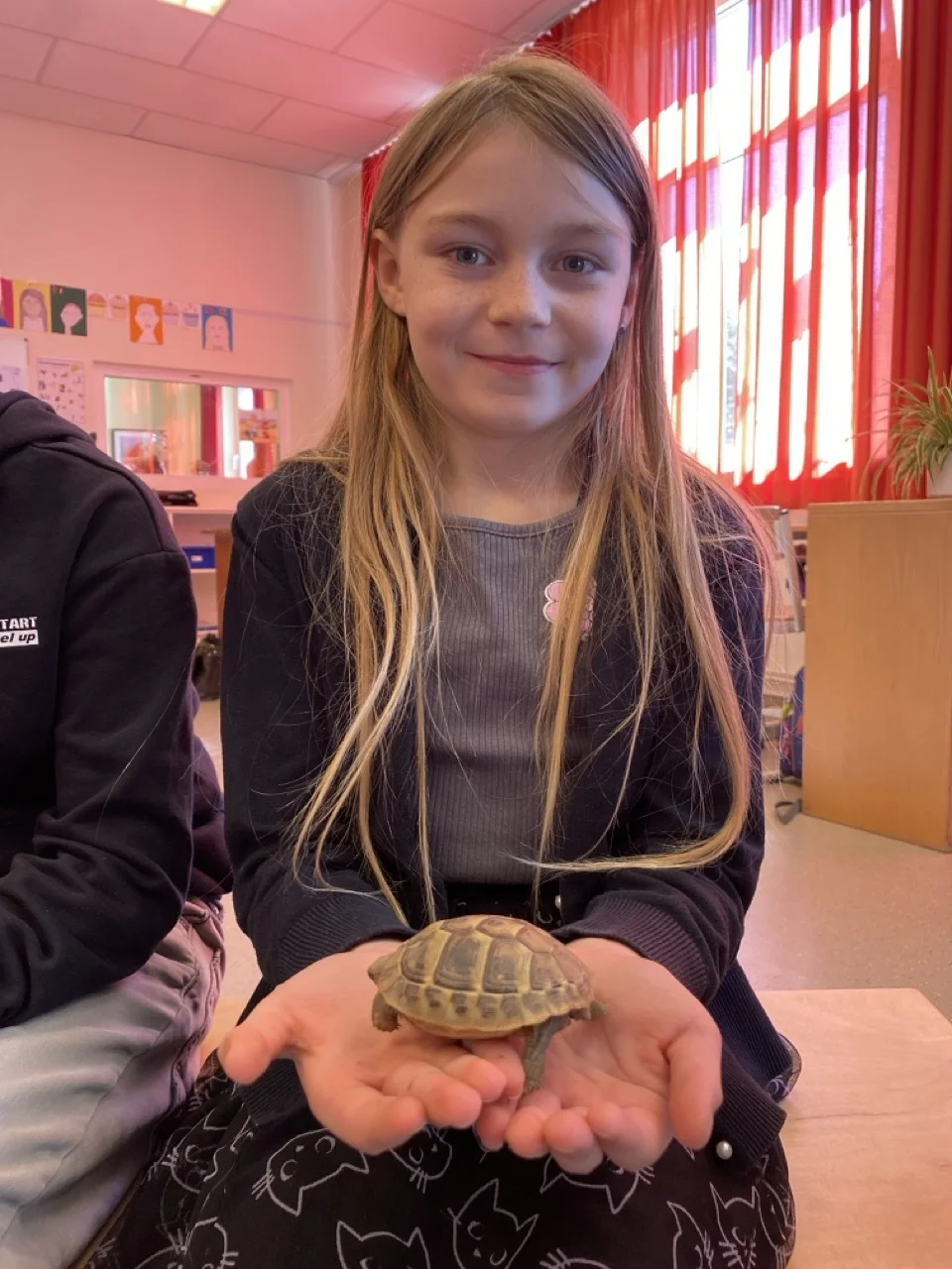 Foto der Galerie: Schildkröten zu Besuch!