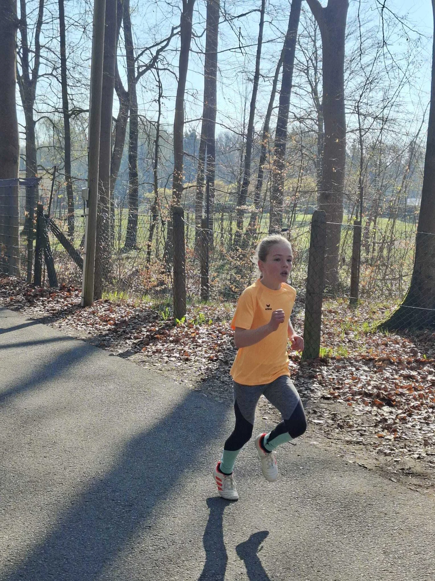 Foto der Galerie: JtfO Crosslauf in Pritzwalk