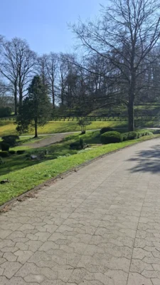 Vorschaubild: Hauptweg Hohlstraße