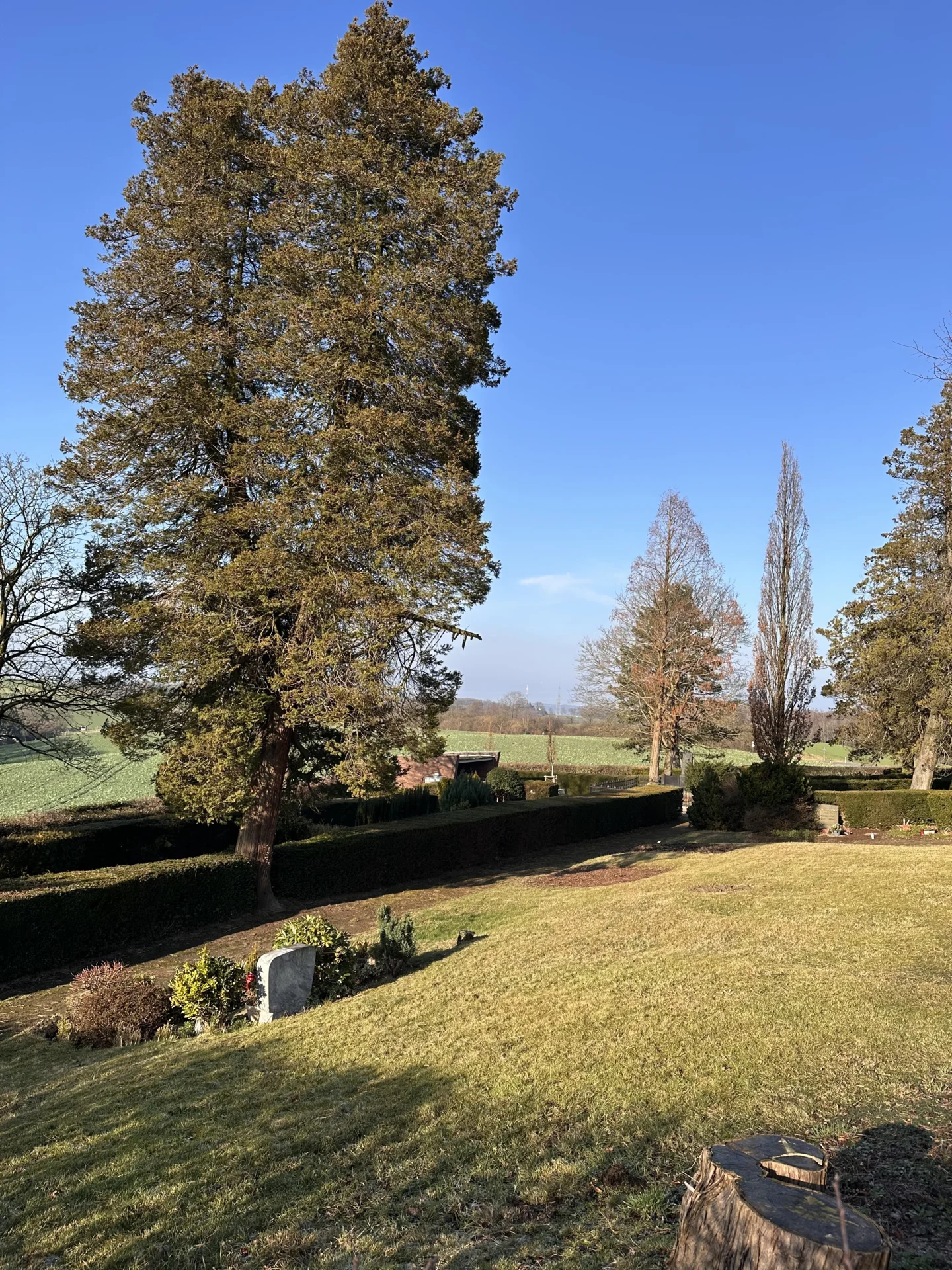 Bild: Panoramabild Pütterfeld