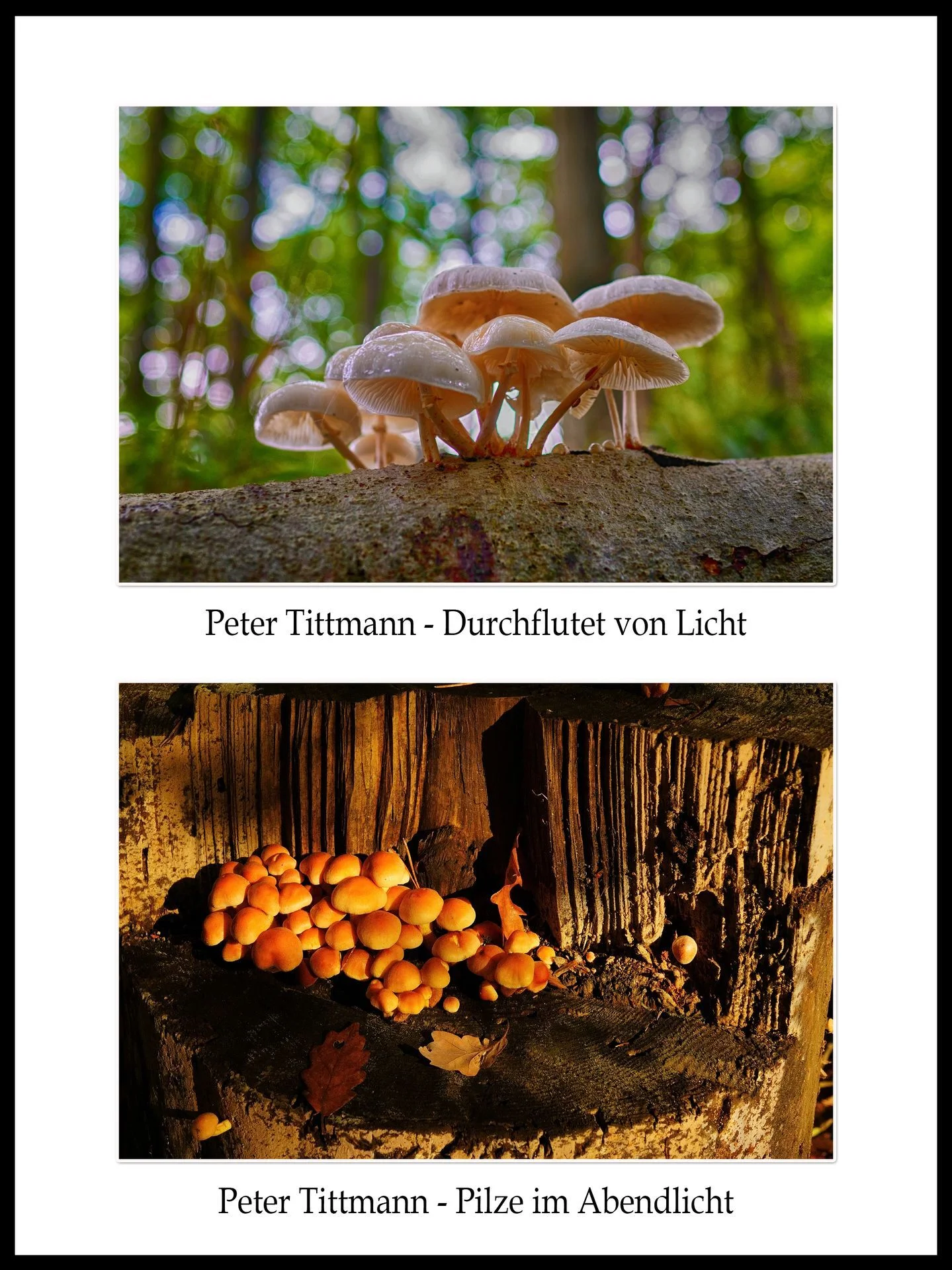 Rahmen 09  (Bild vergr&ouml;&szlig;ern)