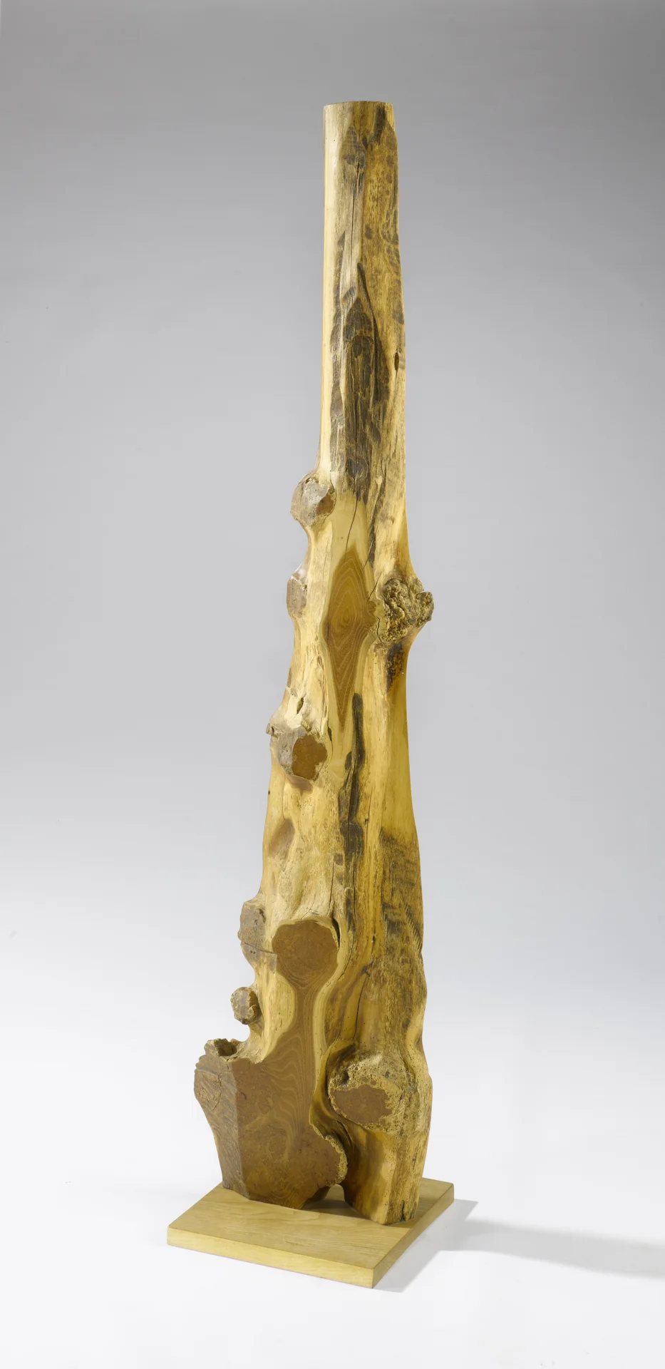 &bdquo;Robin&ldquo;  Stele, Robinie, 39/164 cm,  Seite 1  (Bild vergr&ouml;&szlig;ern)