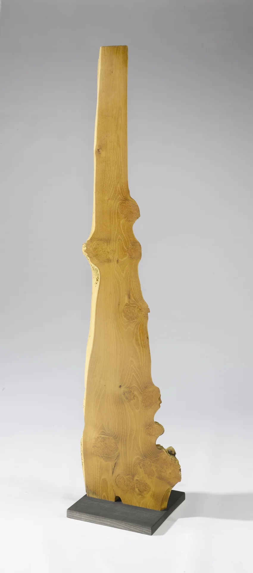 &bdquo;Robin&ldquo;  Stele, Robinie, 39/164 cm,  Seite 2  (Bild vergr&ouml;&szlig;ern)