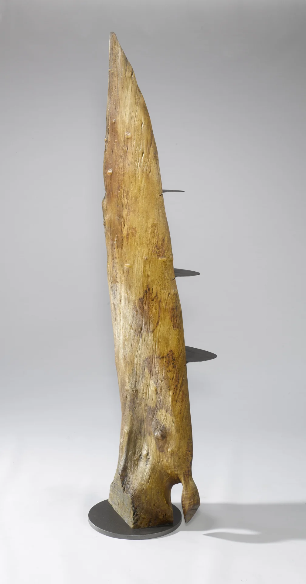 &bdquo;Pyraba&ldquo;  Stele m. Ablagen, Birnbaum, Stahl, 46/170 cm, Seite 2  (Bild vergr&ouml;&szlig;ern)