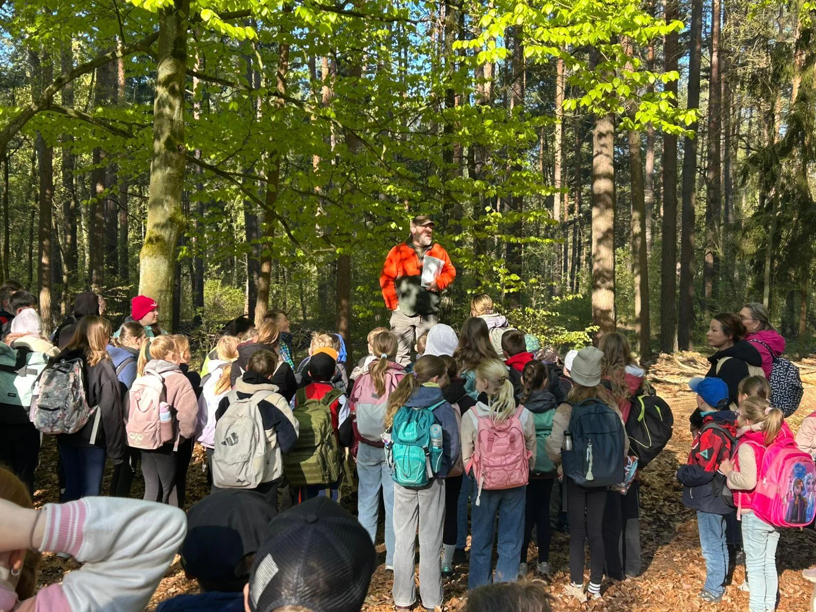 Foto der Galerie: Waldolympiade