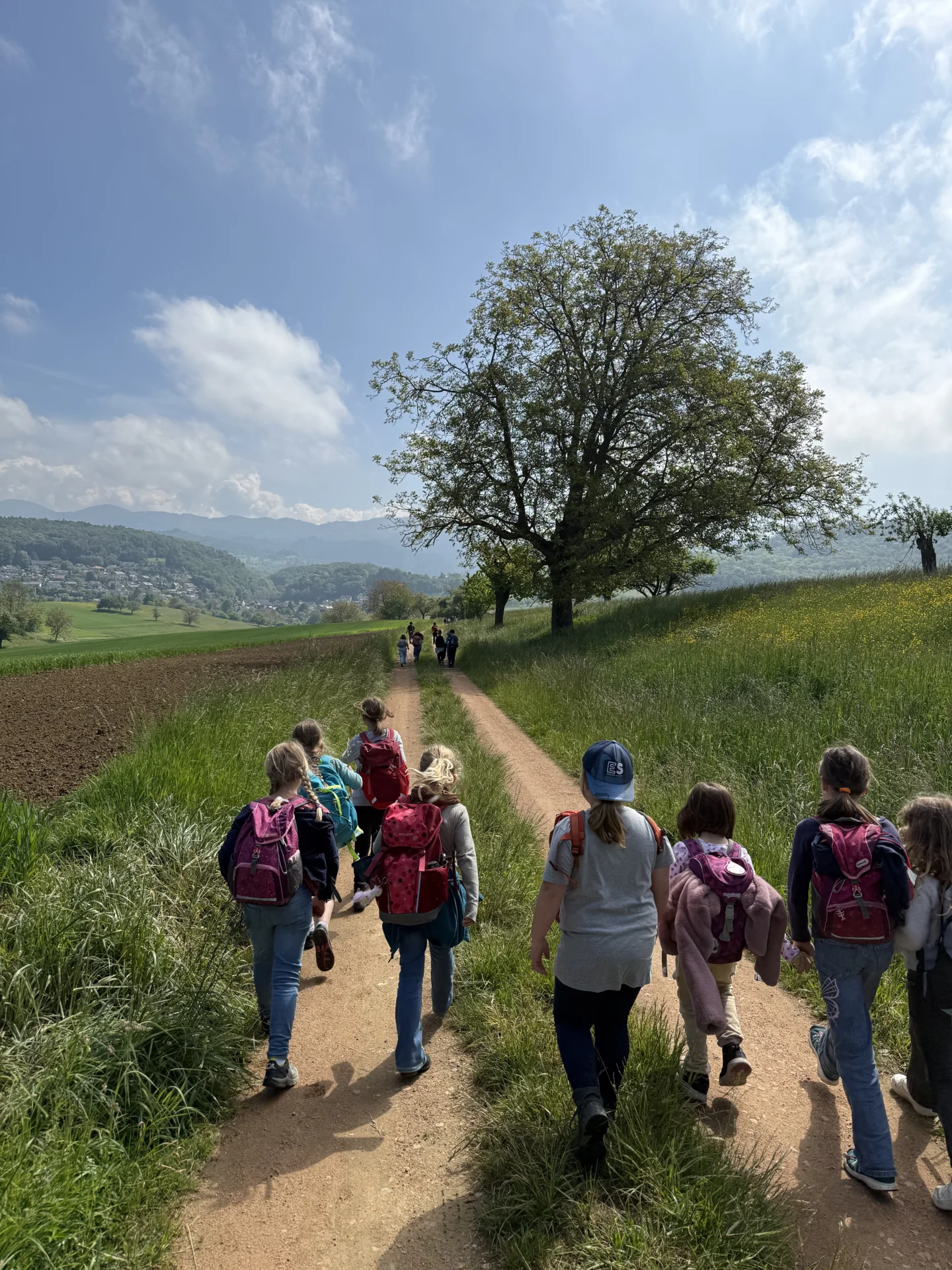 Wanderung geradeaus  (Bild vergr&ouml;&szlig;ern)