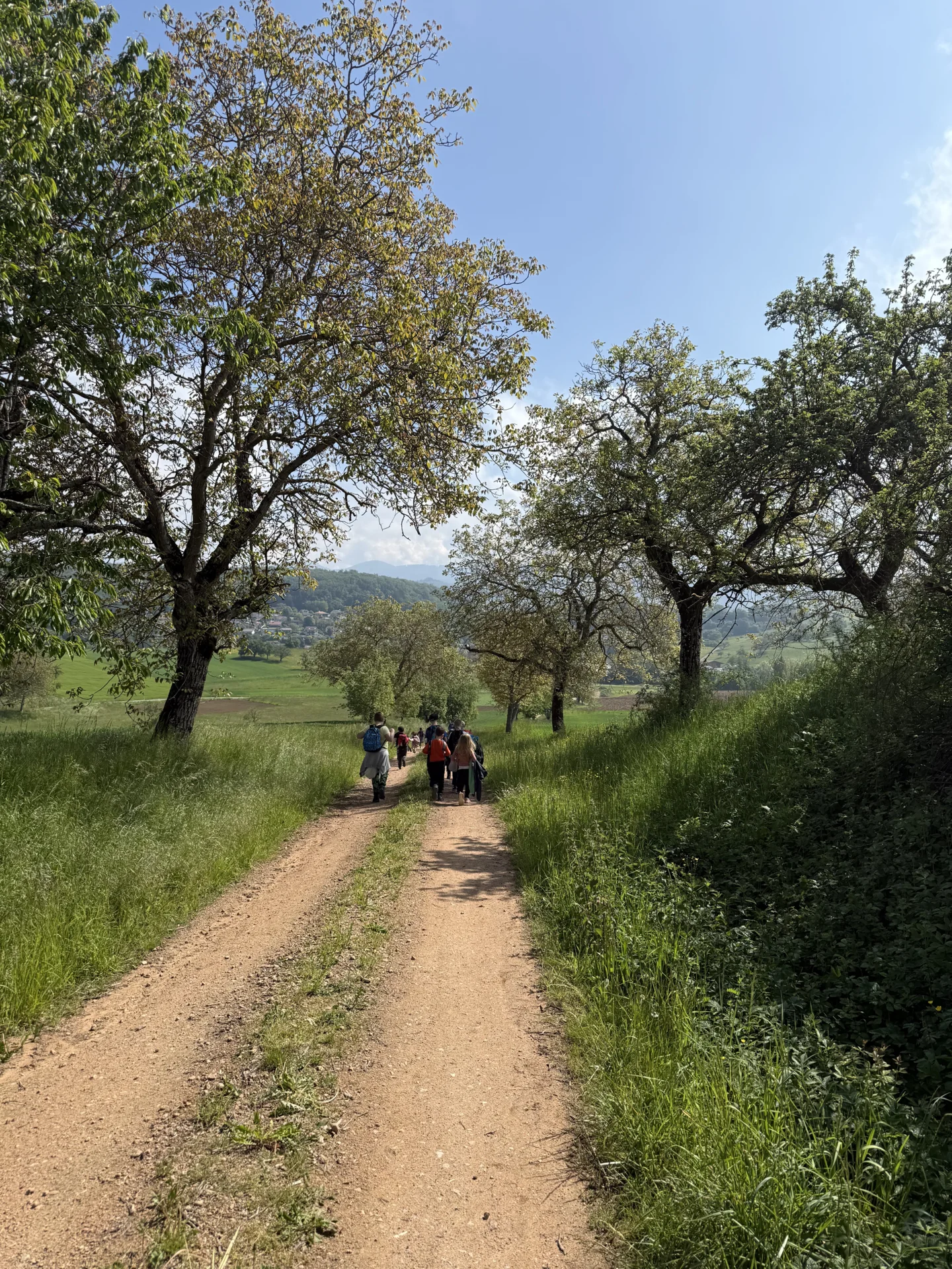 Wanderung bergab  (Bild vergr&ouml;&szlig;ern)