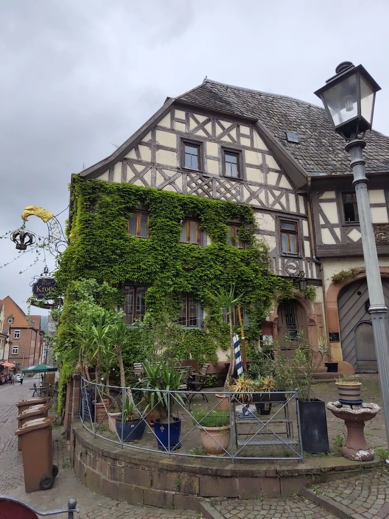Foto der Galerie: Bildergalerie Städtetour nach Lohr am 7. Mai 2026