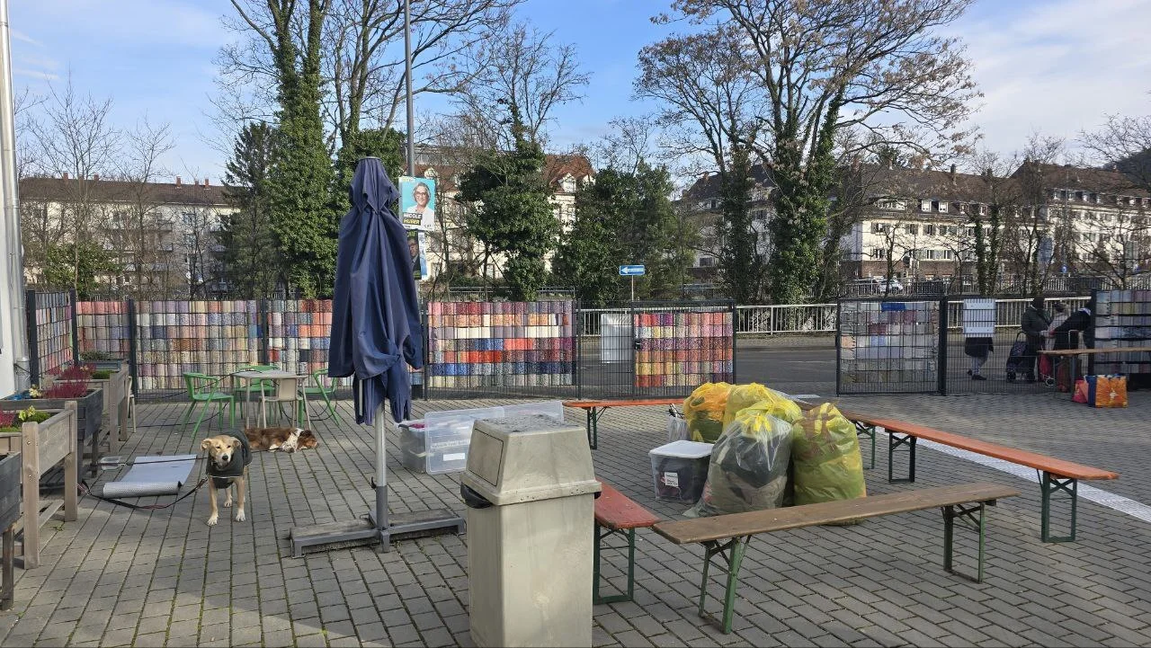 Bild der Galerie