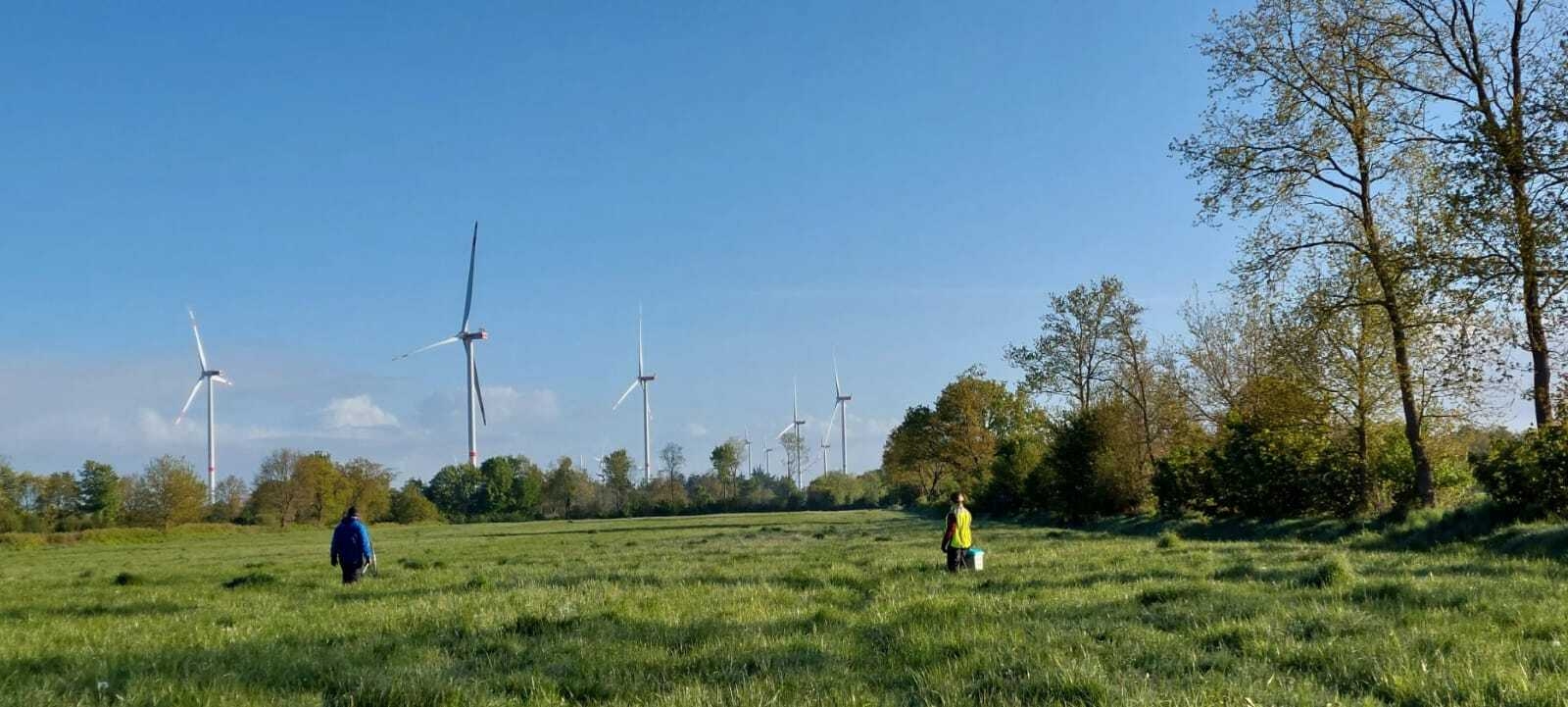 IMG-20260514-WA0011  (Bild vergr&ouml;&szlig;ern)