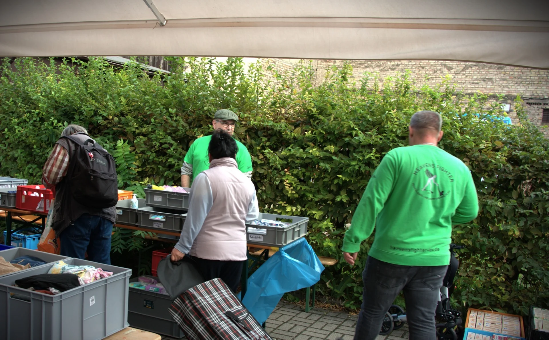 Bild der Galerie