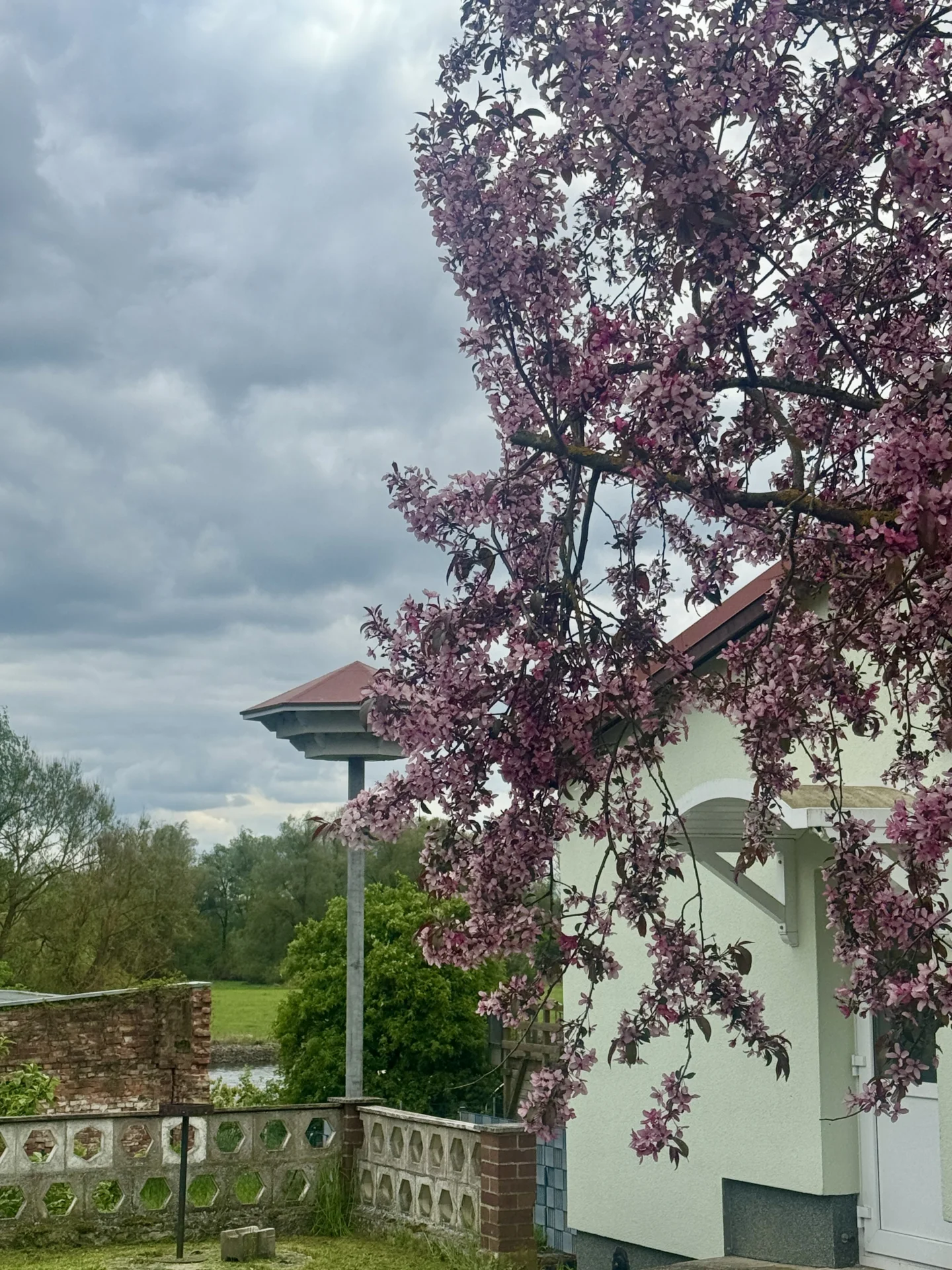 Zur Galerie: 25 Jahre Haus am Strom