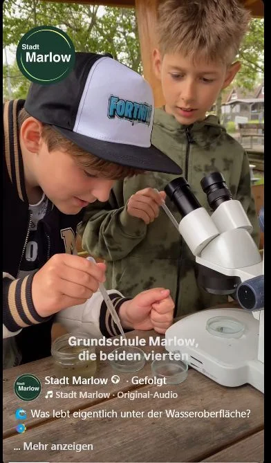 Gew&auml;sser erleben 4 