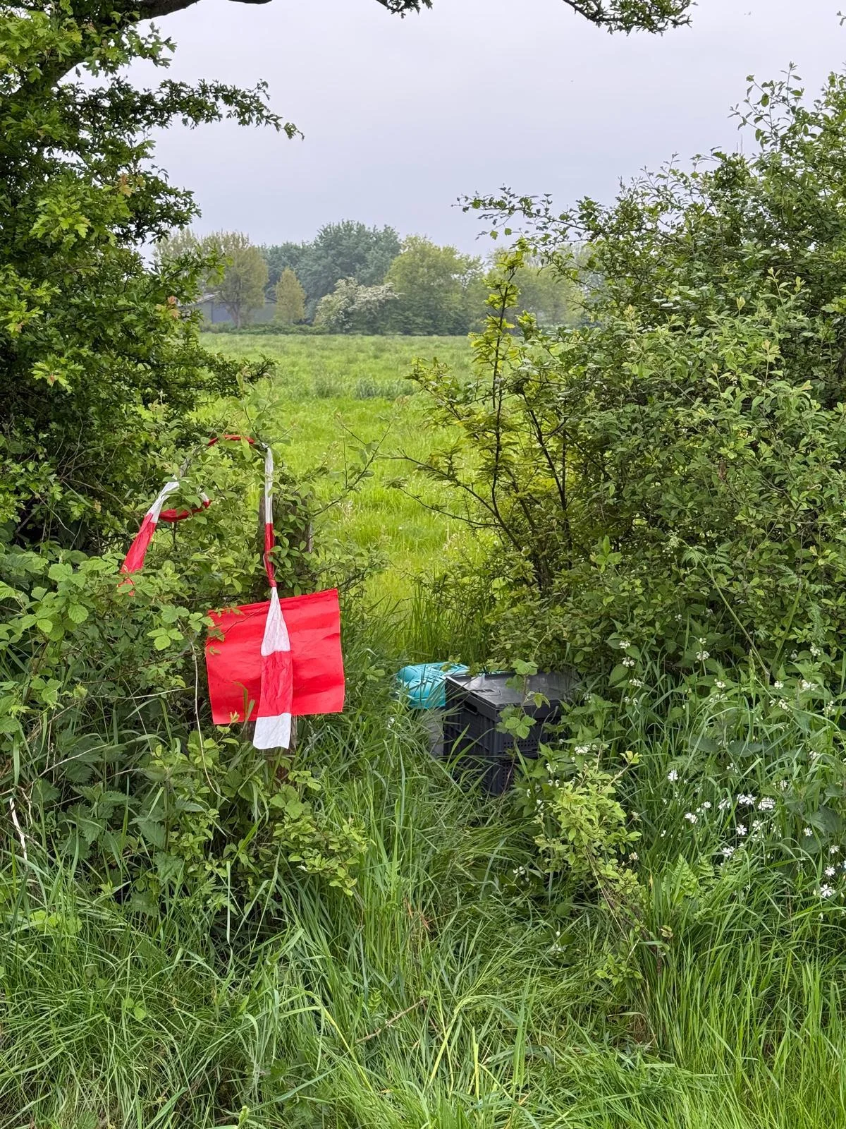 Foto der Galerie: Rehkitzrettung 22. Mai 2026