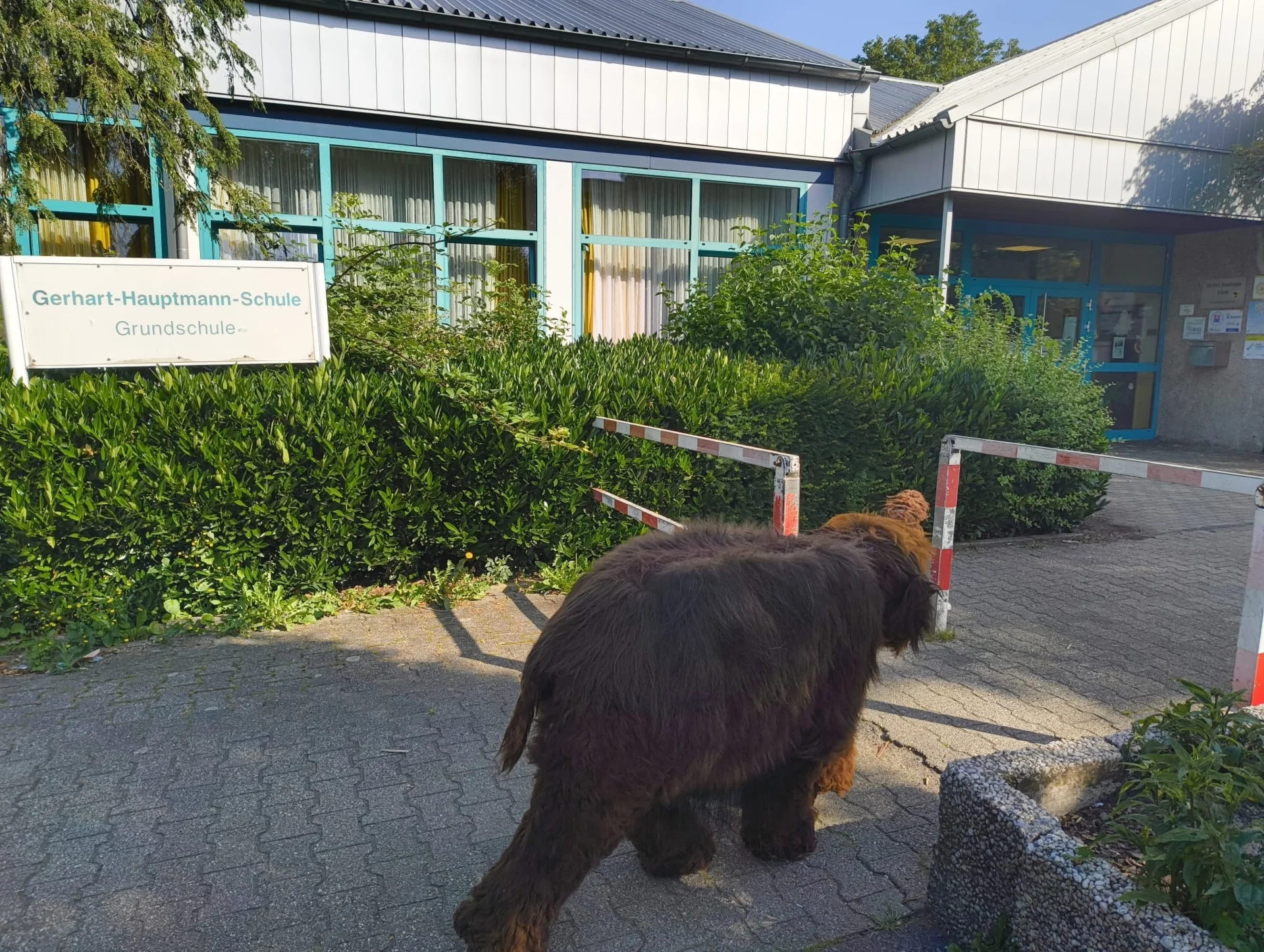 Die Gerhart-Hauptmann-Schule besucht. 