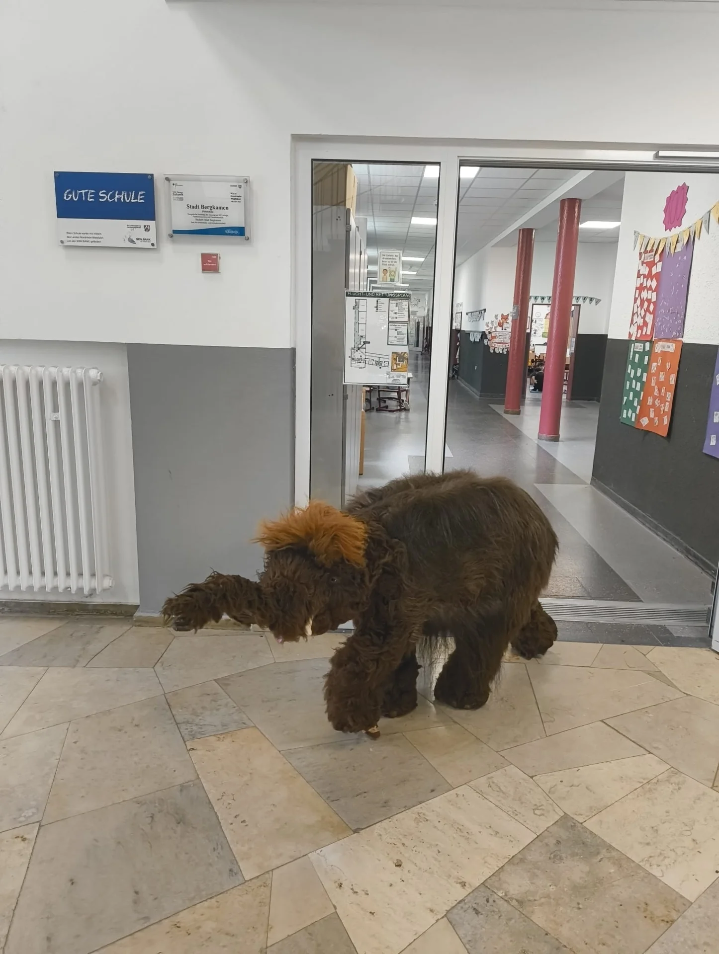 In der Pfalzschule umgeguckt. 