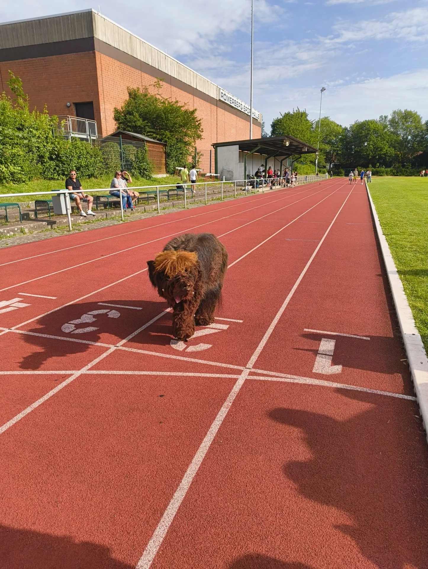 Beim RSO-Sportfest das Sportabzeichen gemacht. Hier ein Foto vom Sprint... 