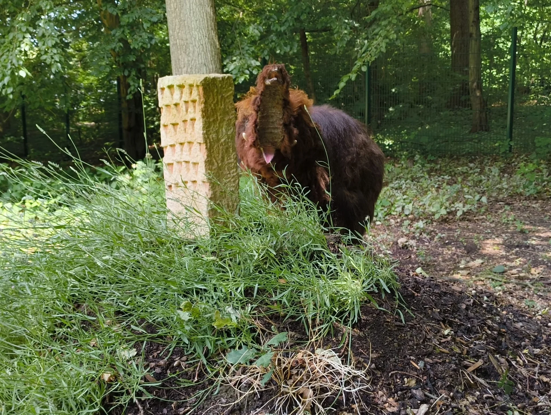 .... und interessante Ecken im Park angeschaut! 
