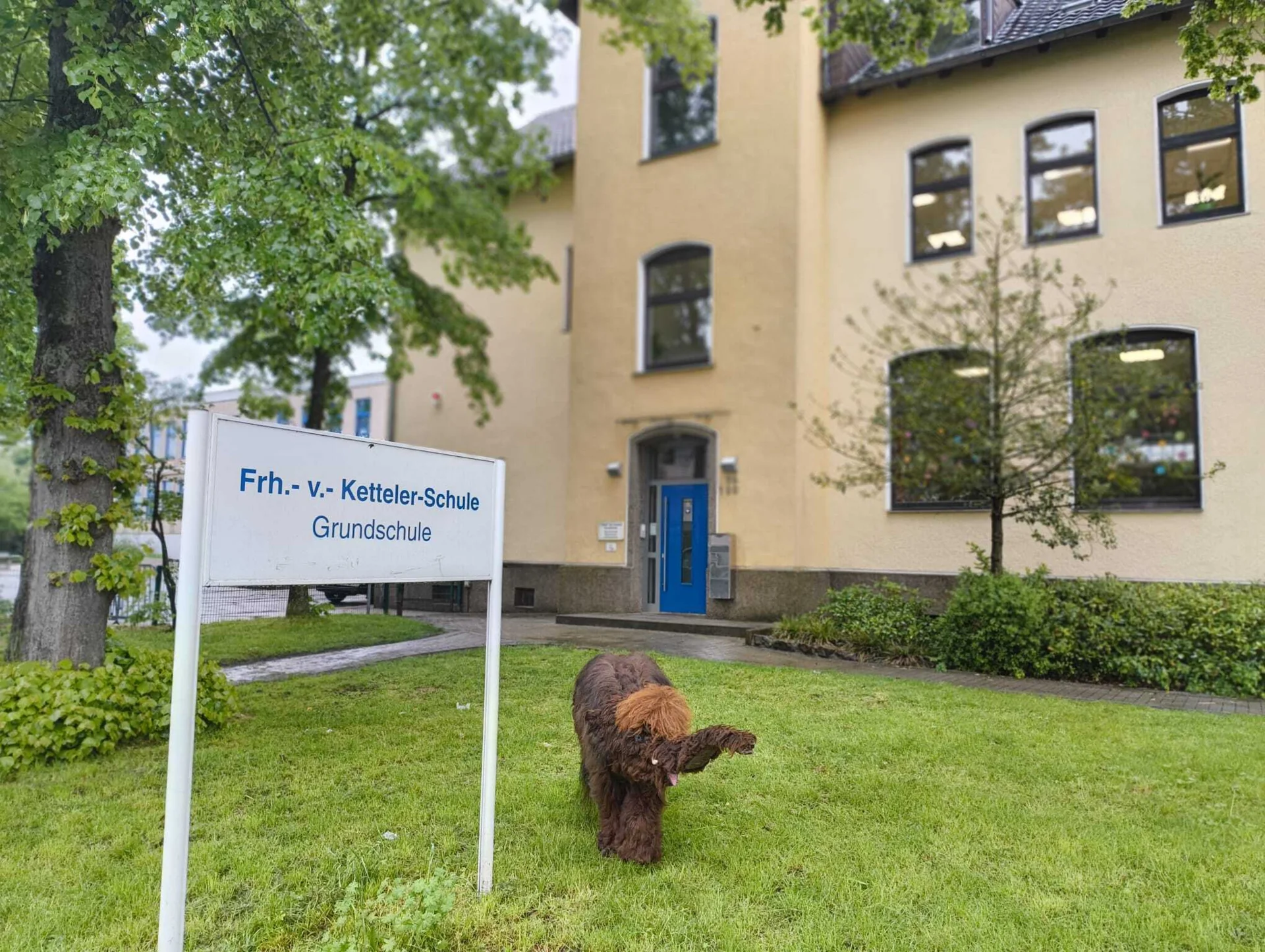 Die Ketteler-Schule besucht, um dort von ganz vielen Sch&uuml;lerinnen und Sch&uuml;lern gestreichelt zu werden. 