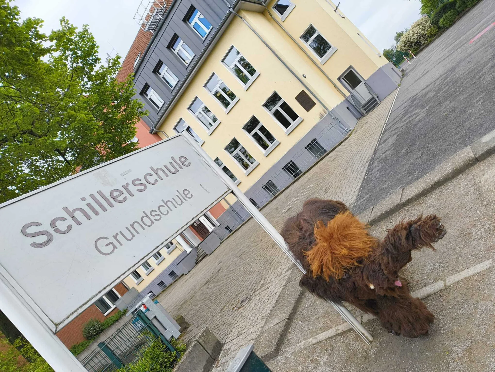 Die Schillerschule besucht. 