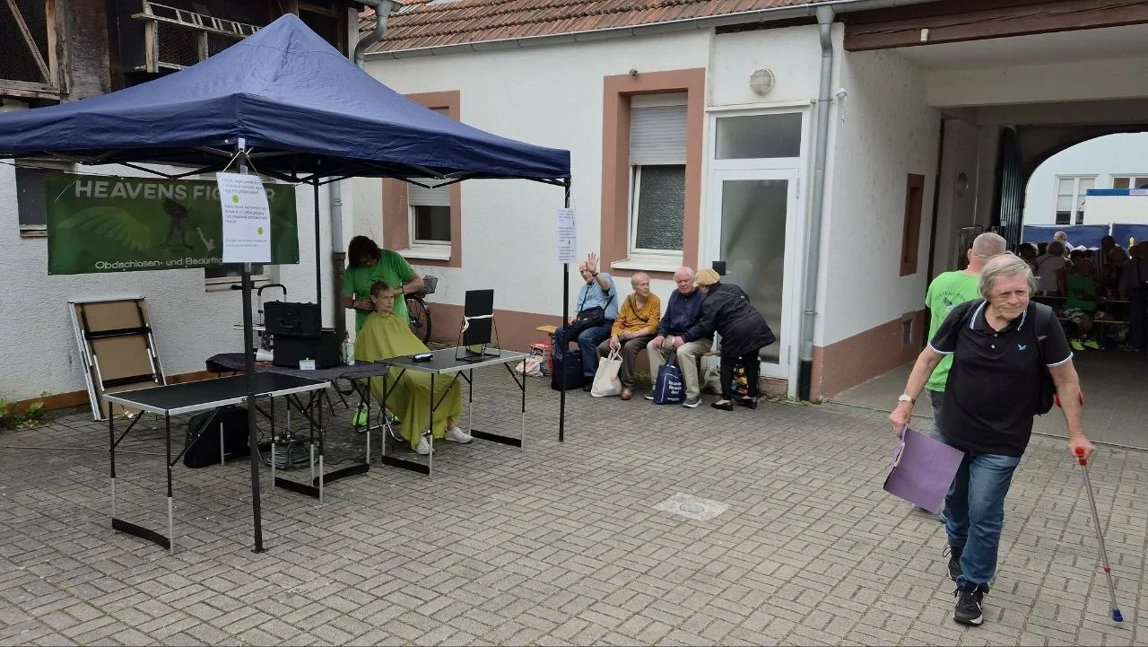 Bild der Galerie