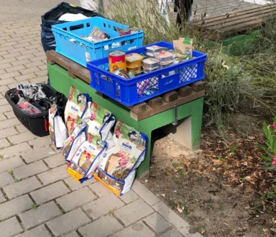 Vorschaubild: 5282999680810218666