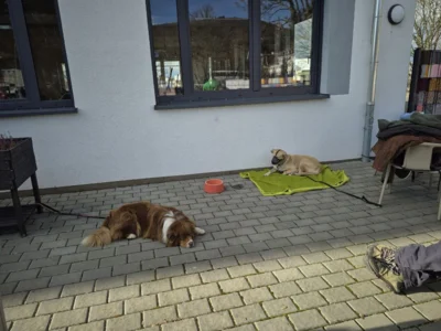 Vorschaubild: 5235788412450105899