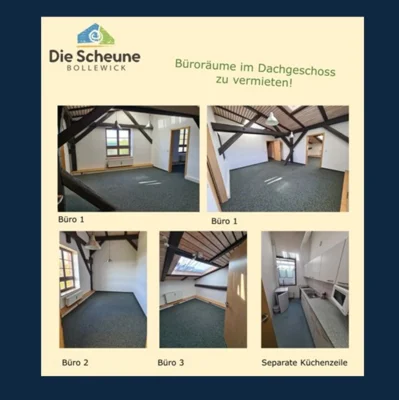 Vorschaubild: Überblick
