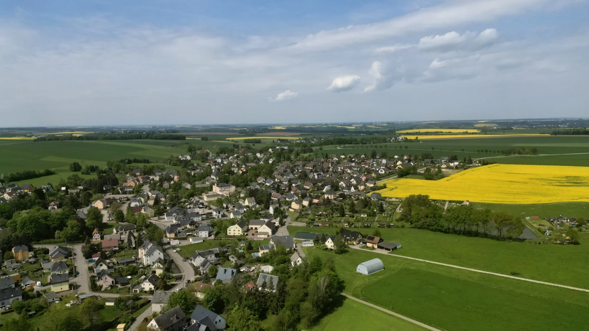 Bild  der Galerie