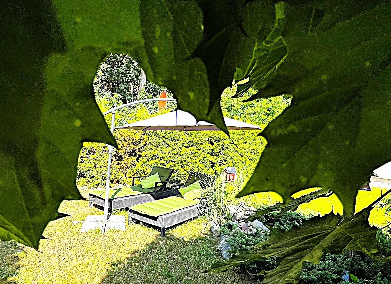 Natur-Garten  (Bild vergr&ouml;&szlig;ern)