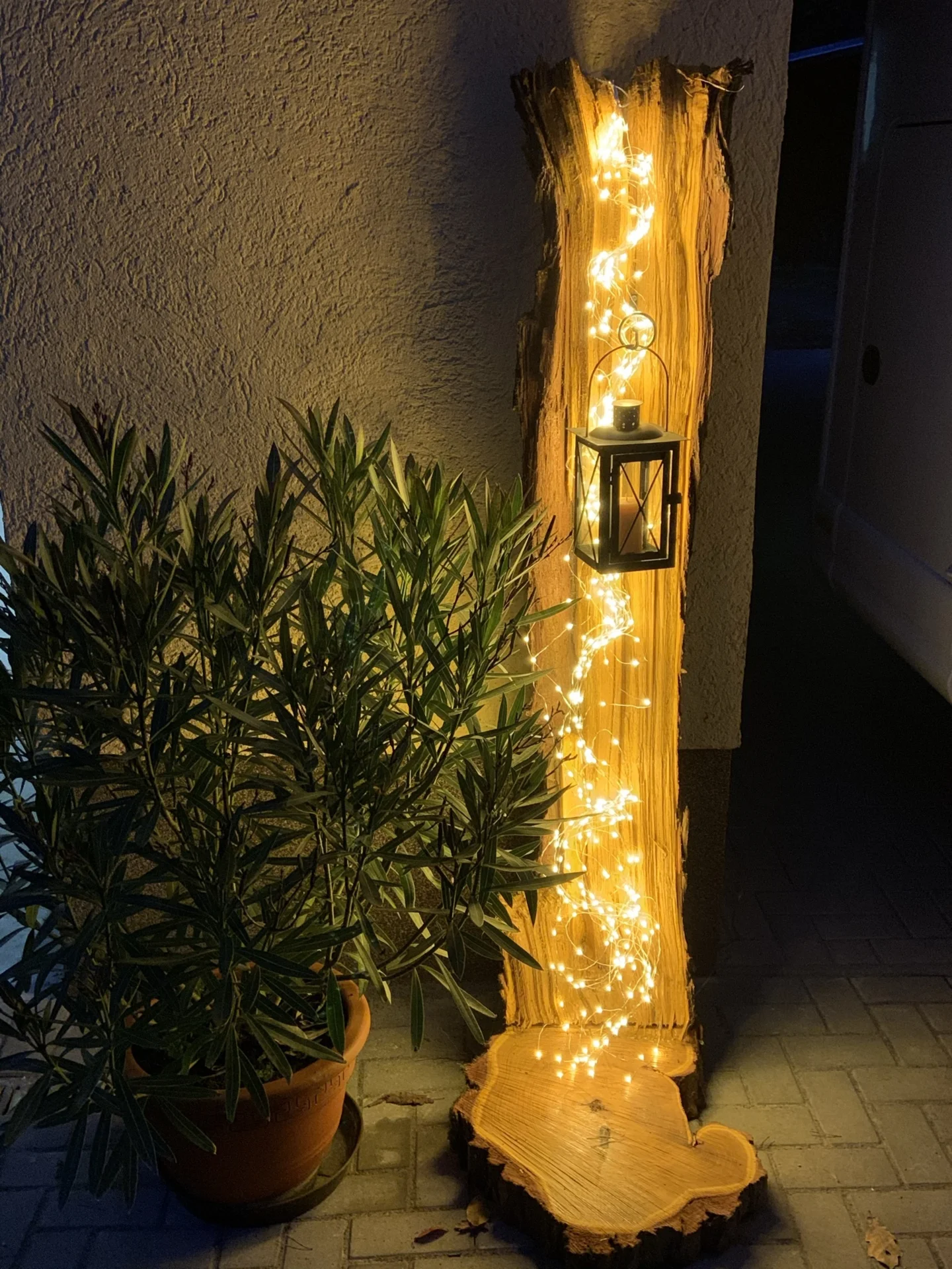 Abendstimmung  (Bild vergr&ouml;&szlig;ern)