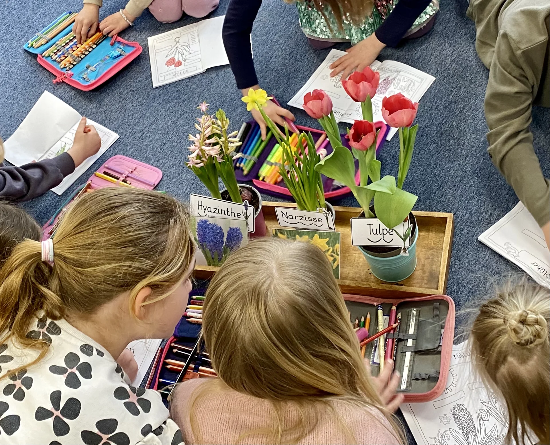 Fr&uuml;hbl&uuml;her werden im Fr&uuml;hling sowohl in der Natur als auch im Klassenzimmer ganz genau unter die Lupe genommen. 
