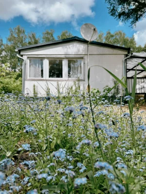 Vorschaubild: wurlsee-camping-lychen-campinghütte 4-wiese