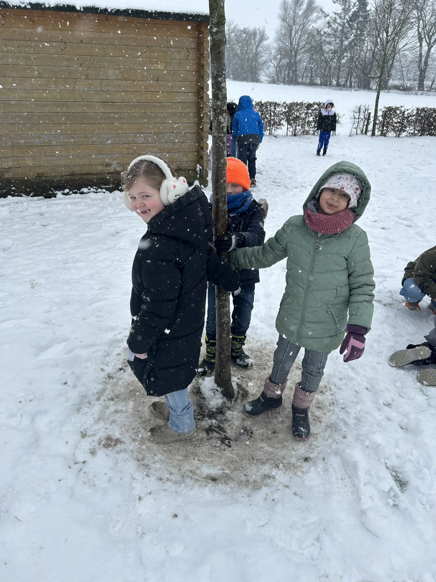 Foto der Galerie: Wintereinbruch Februar 2026