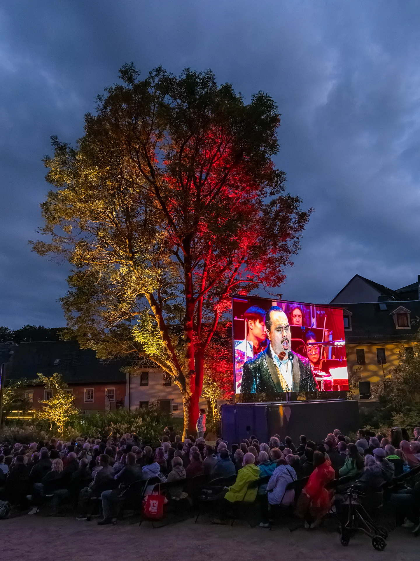 Klanglichtzauber 2026-PHaider 18  (Bild vergr&ouml;&szlig;ern)