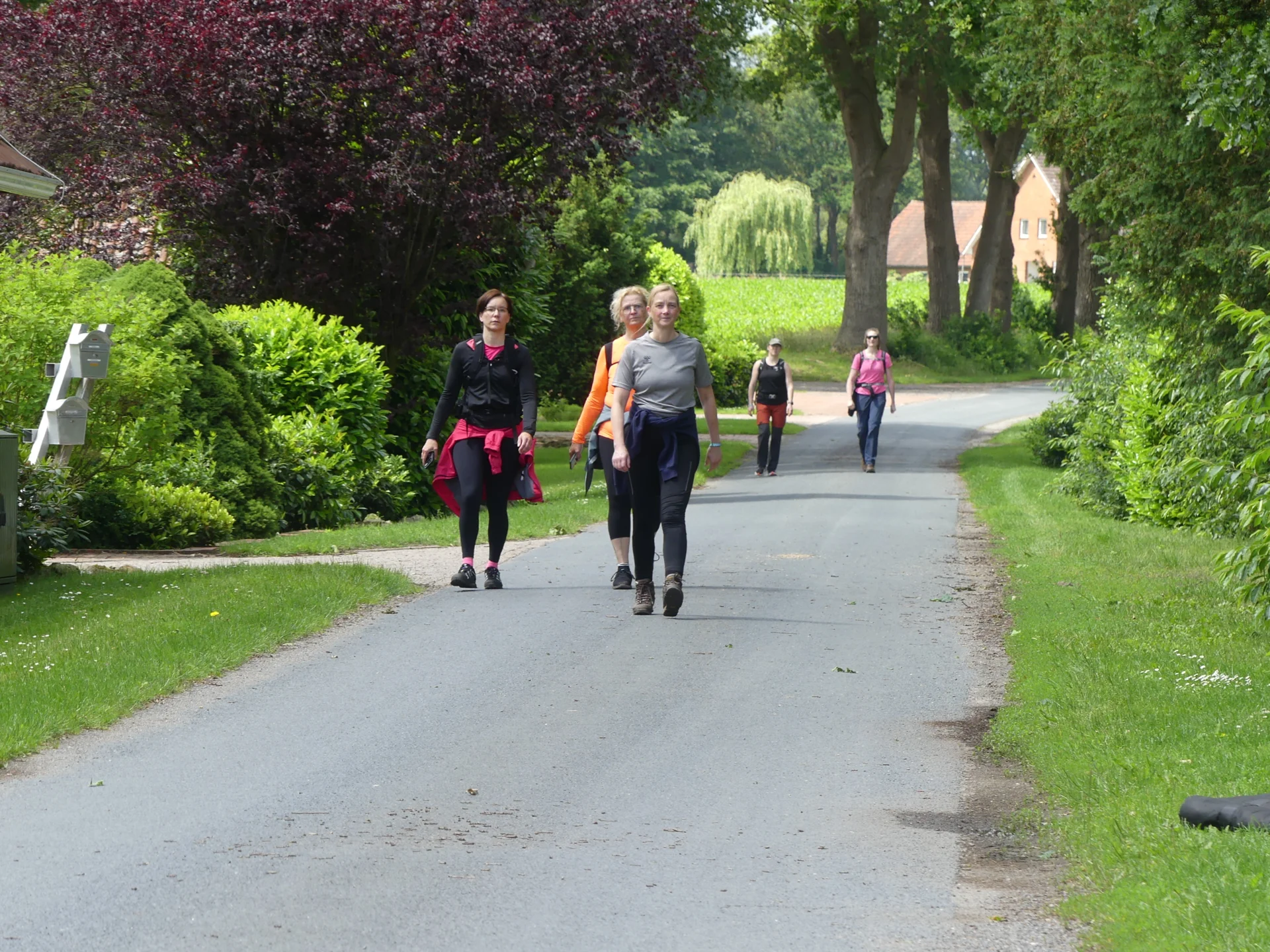 Foto der Galerie: Wilde Geest 2026
