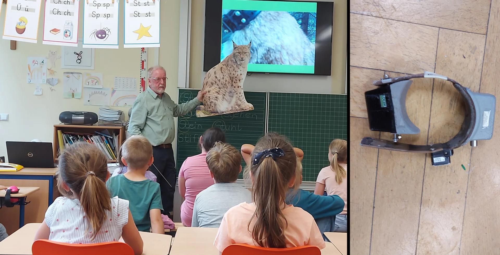 Zur Galerie: Luchstag mit Martin Hauser