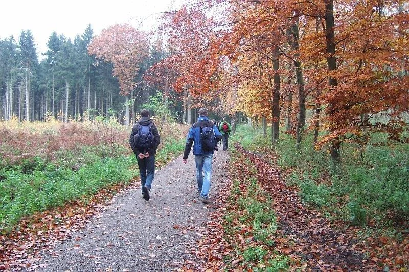 Zur Galerie: Wandern in Köln und Umgebung