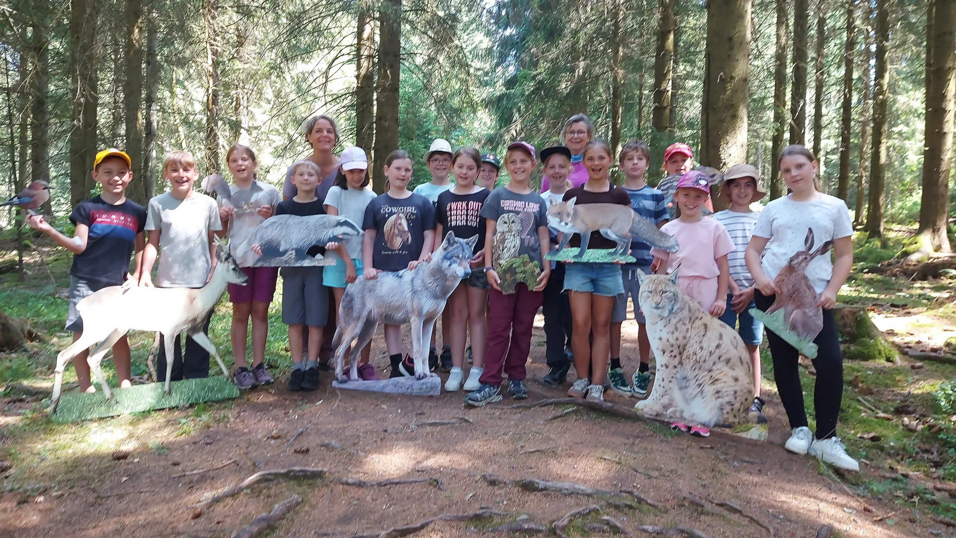 Zur Galerie: 2026_06_23_dem Luchs auf der Spur
