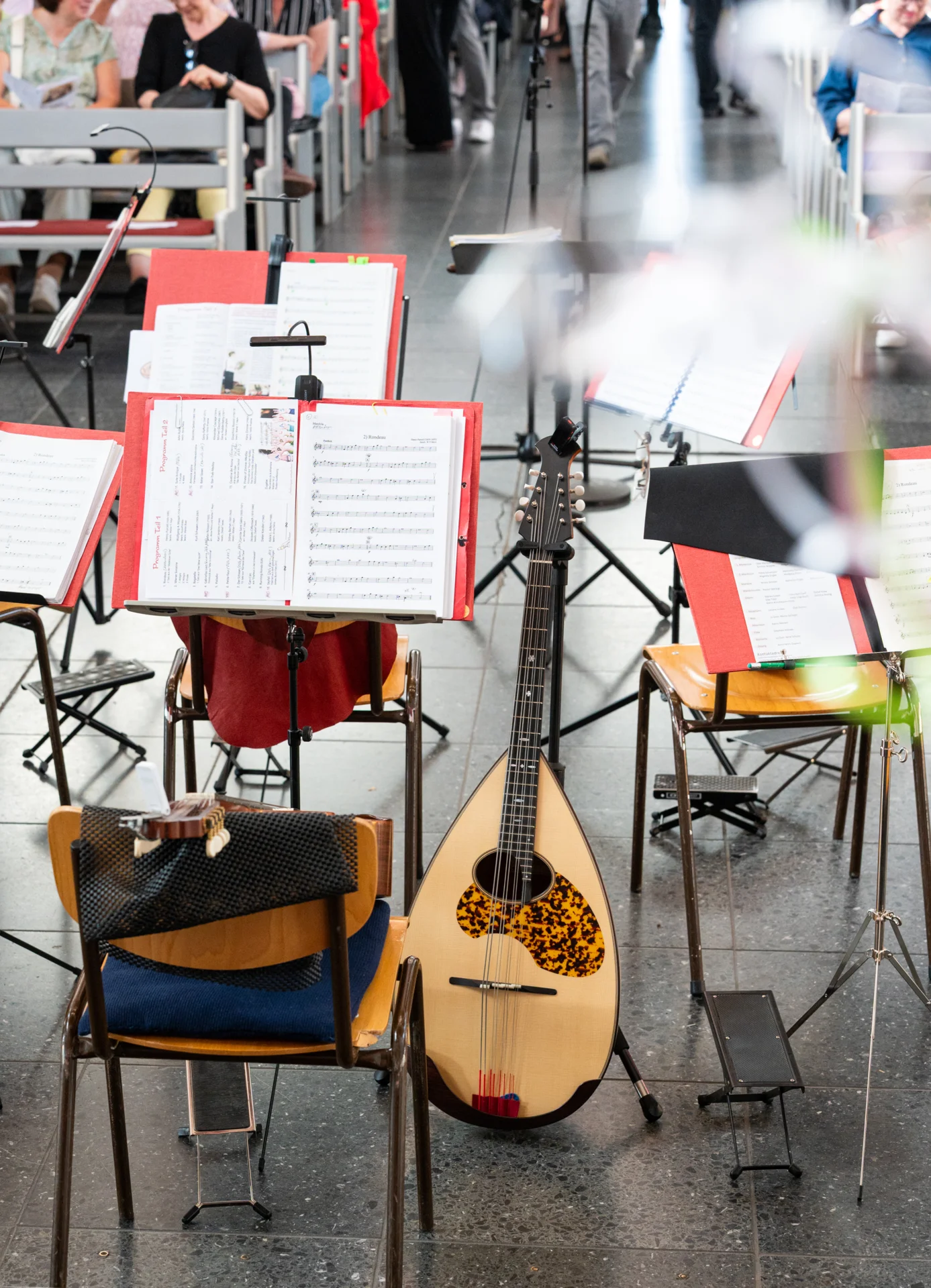 Das Mandoloncello wartet auch.  (Bild vergr&ouml;&szlig;ern)