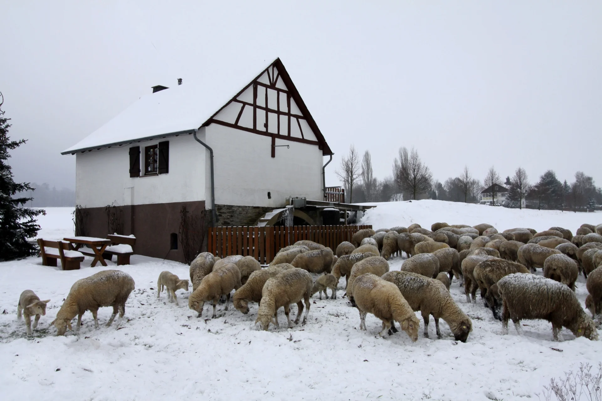 Bild: Niederkumbd Historische Wassermühle