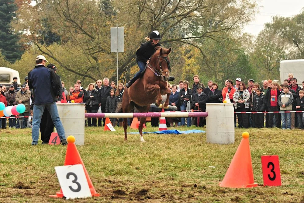 Pferdeshowprogramm- Foto Svenja Verheyen  (Bild vergr&ouml;&szlig;ern)