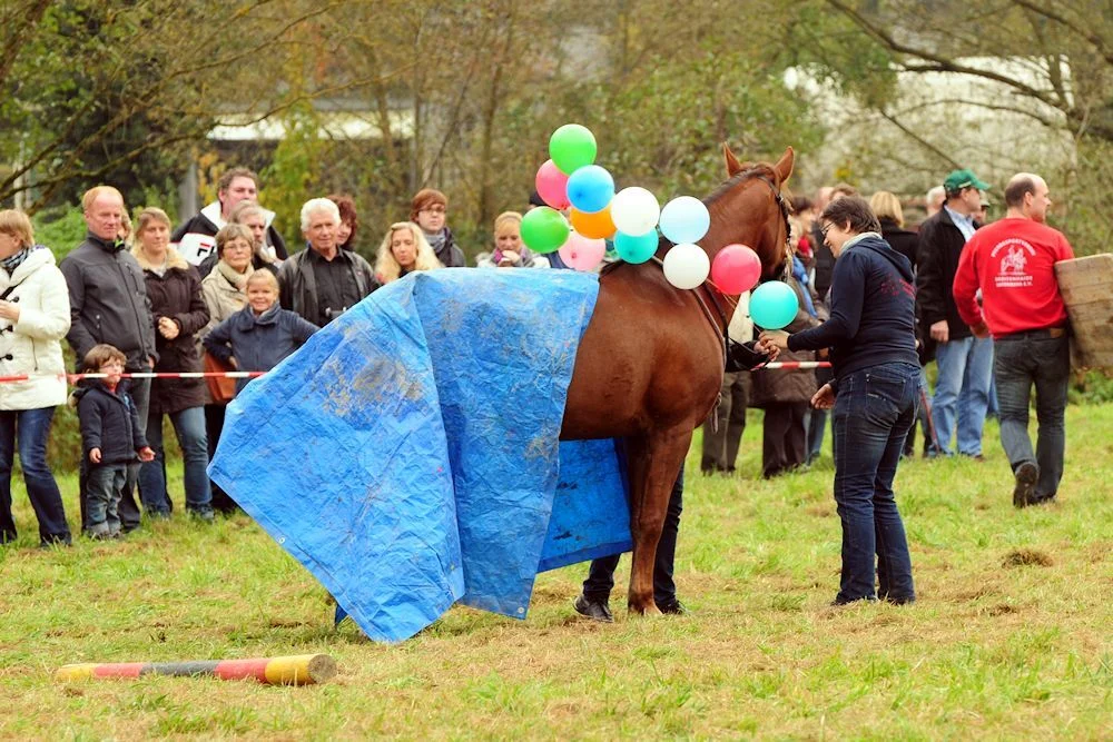 Pferdeshowprogramm - Foto Svenja Verheyen  (Bild vergr&ouml;&szlig;ern)