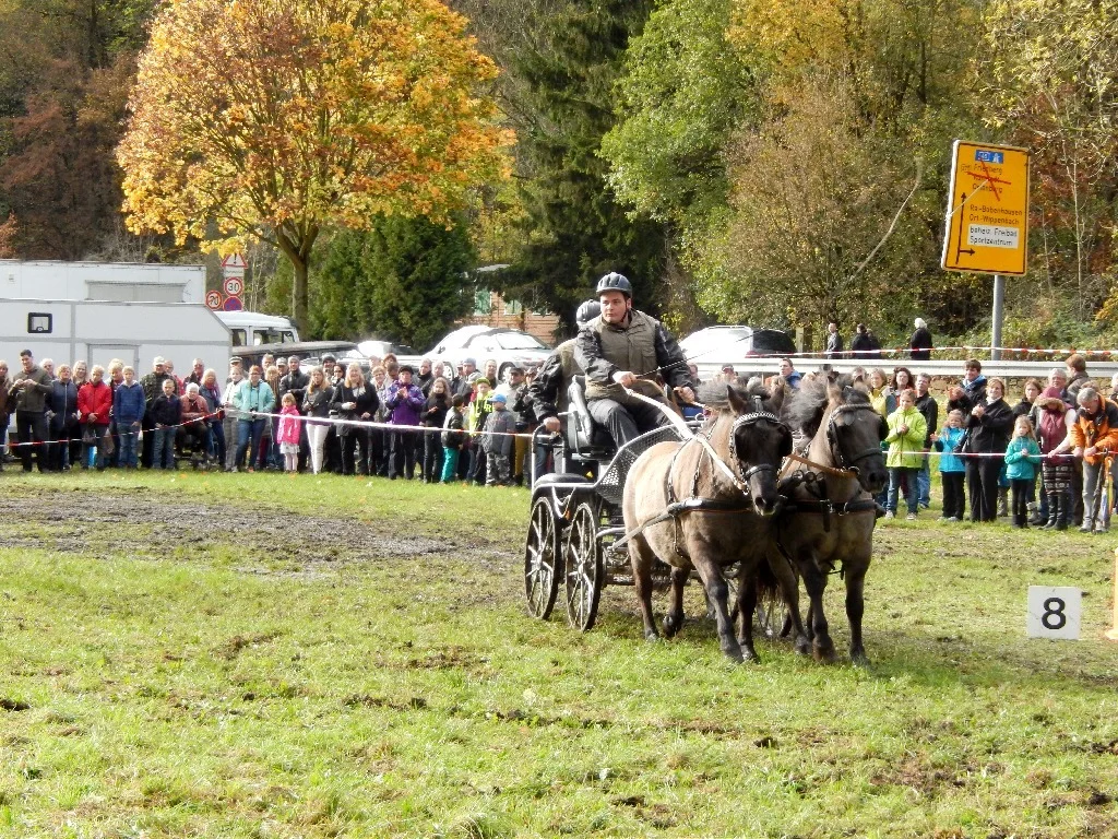 Kutschenrennen  (Bild vergr&ouml;&szlig;ern)