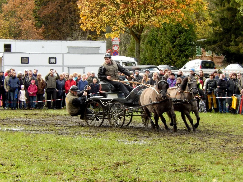 Kutschenrennen  (Bild vergr&ouml;&szlig;ern)