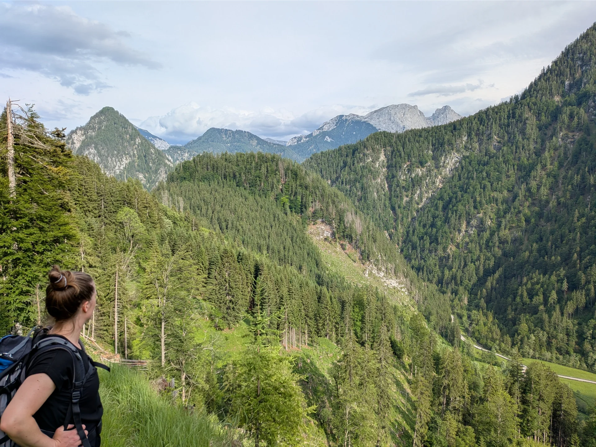 12 Wanderung 2  (Bild vergr&ouml;&szlig;ern)